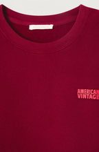 Load image into Gallery viewer, American Vintage - Izubird Sweater - Kers