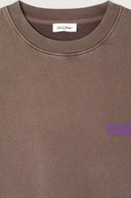 Load image into Gallery viewer, American Vintage - Plizzy Sweater - Kastanje