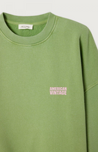 Load image into Gallery viewer, American Vintage - Plizzy - Citroengras