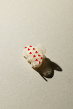 Load image into Gallery viewer, Sasstie - Coope - Obsession